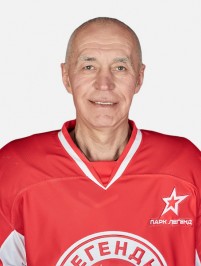 Анисин Вячеслав Михайлович