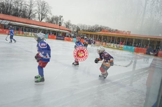 День зимних видов спорта 