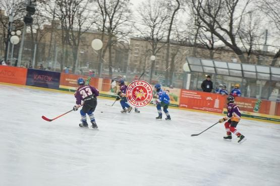День зимних видов спорта 