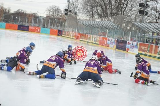 День зимних видов спорта 